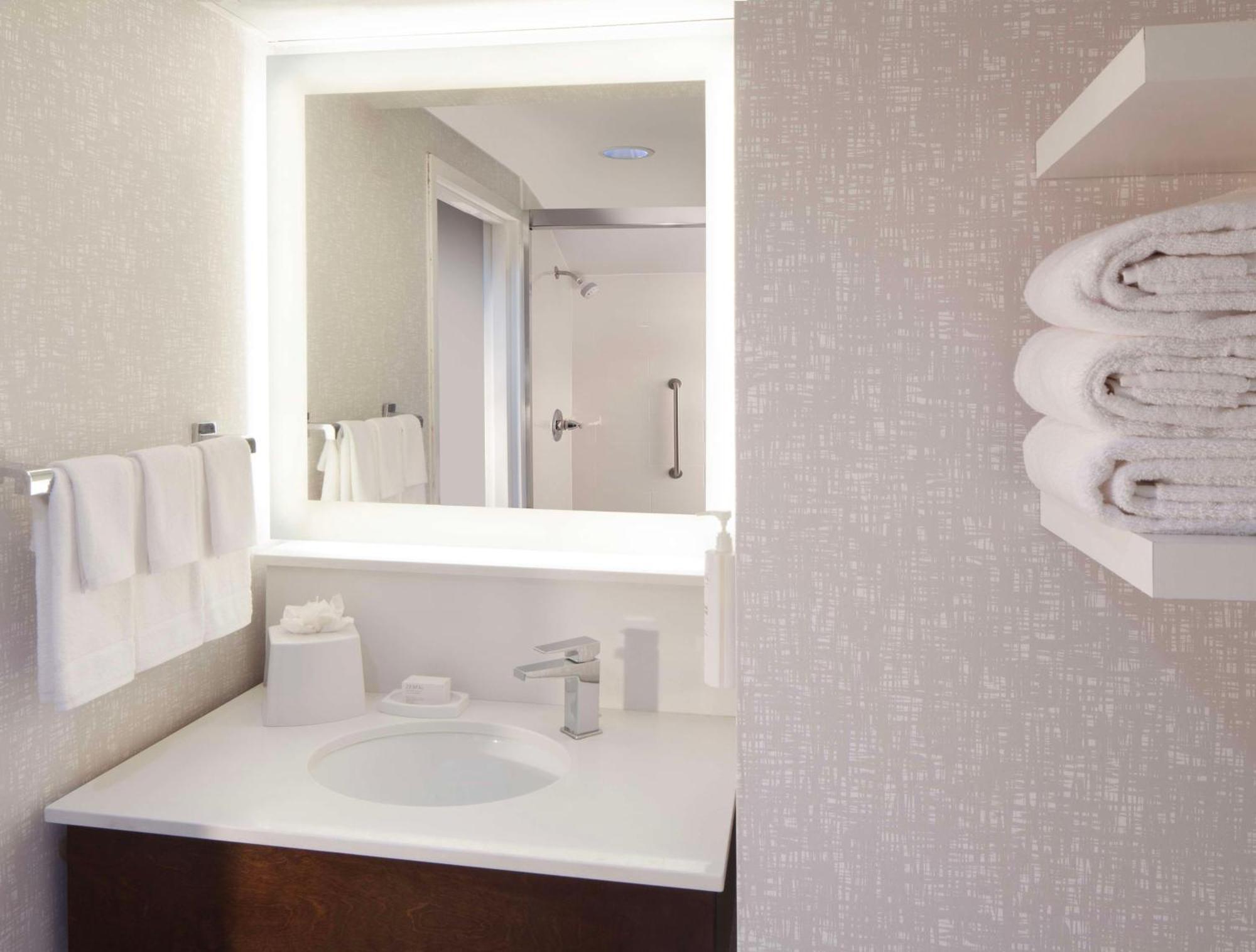Hotel Hampton & Suites-atlanta Airport North-i-85 3*